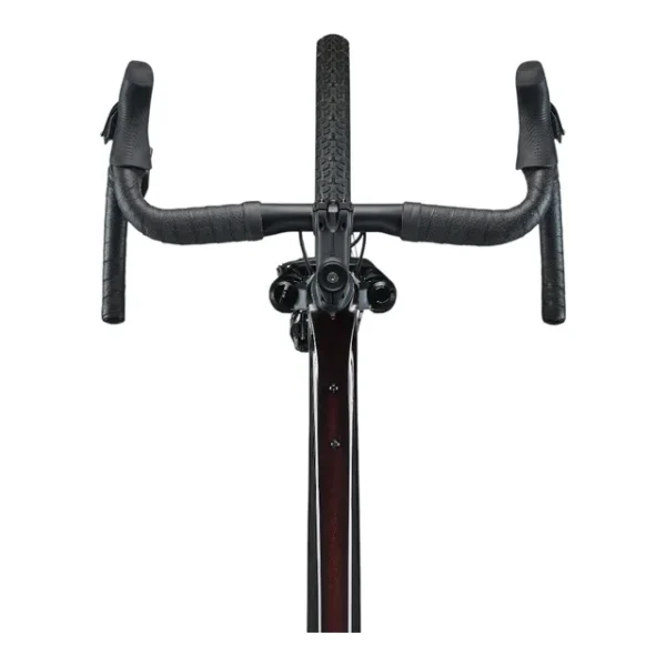 Bicicleta de gravel Giant Revolt X ADV Pro 1 V1 masculina (preta)